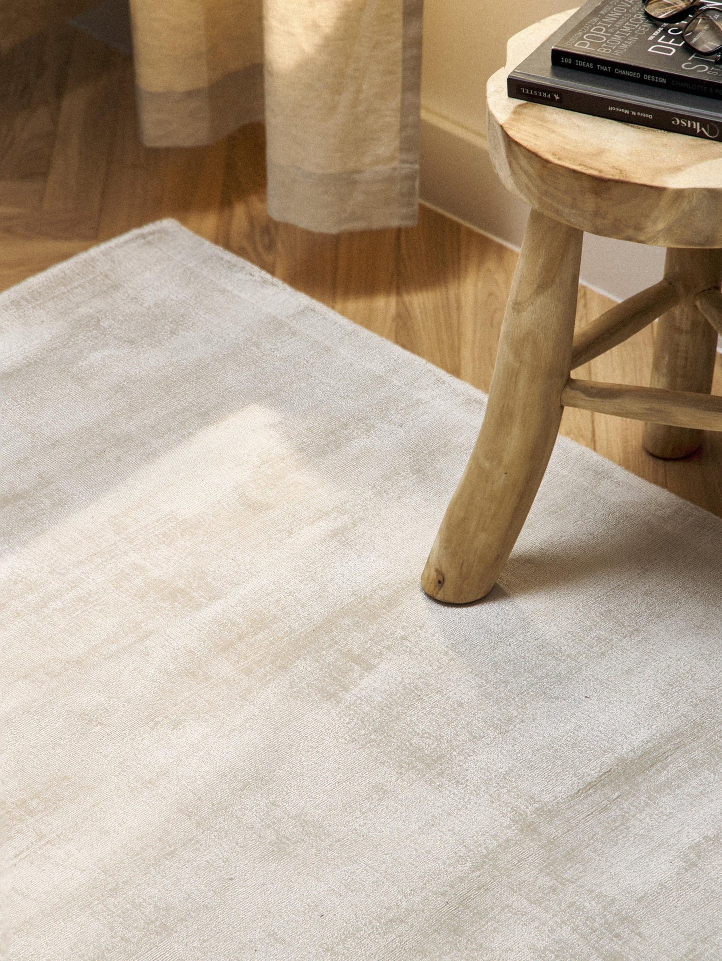 Janessa Hand-Woven Viscose Rug