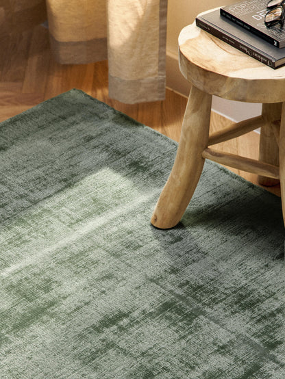 Janessa Hand-Woven Viscose Rug